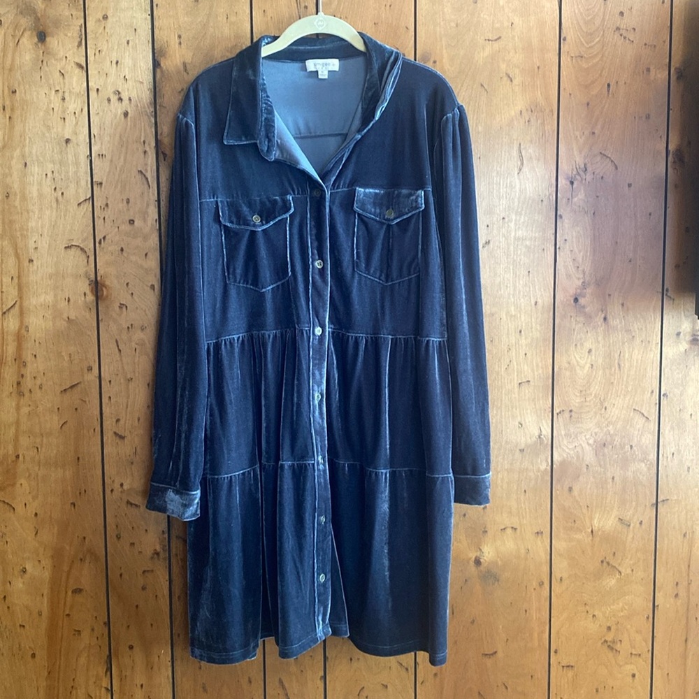 Umgee blue velvet dress